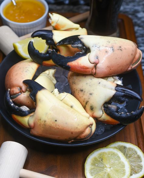 Stone Crab Claws are a true seafood delight! So sweet, a real treat! Stone Crab Claws dipped in butter. Stone Crab Claws Recipe, Jonah Crab Claws Recipe, Jalapeno Quick Bread, Crab Claws Recipe, Crab Claw Recipes, Stone Crab Claws, Seafood Delight, Seafood Soup Recipes, Stone Crab