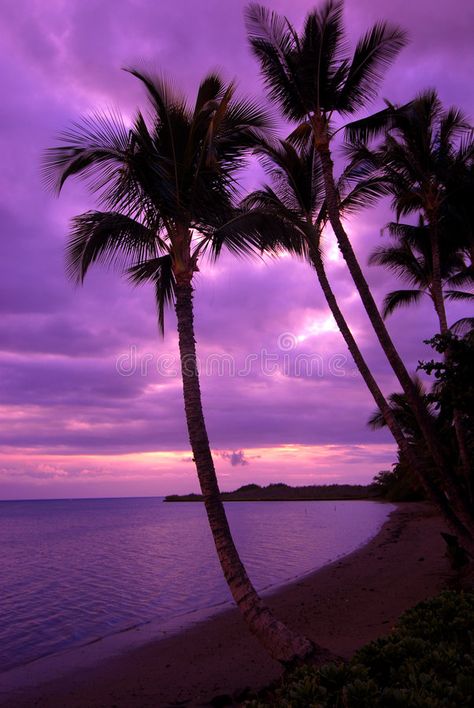 Painting Ideas 2023, Breathtaking Sunsets, Easy Acrylic Painting Ideas, Maui Sunset, Art And Painting, Canvas Art Painting Acrylic, Palm Trees Wallpaper, Acrylic Painting Ideas, Easy Acrylic Painting