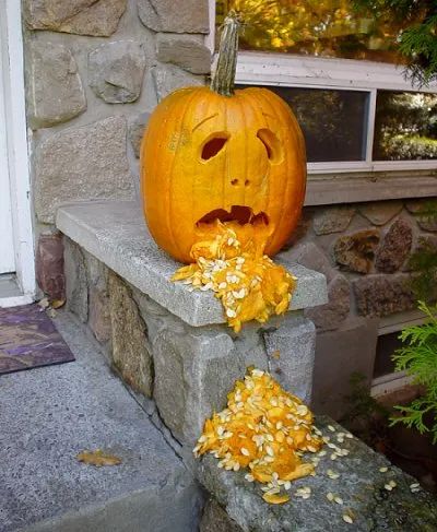 Vomiting Pumpkin or Puking Pumpkin - Pumpkin Carving Ideas for Halloween - Celebrating Halloween Iron Man Pumpkin, Pumpkin Throwing Up, Puking Pumpkin, Pumpkin Carving Patterns Free, Pumkin Carving, Creative Pumpkin Carving, 90s Fashion Outfits Hip Hop Party, Pumpkin Carving Designs, Pumpkin Carving Ideas