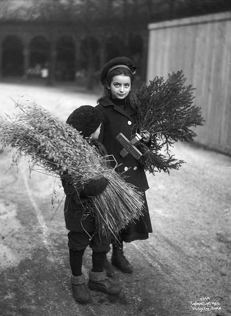 20 Great Vintage Christmas Photos From The Early 1900s | If It's Hip, It's Here Images Noêl Vintages, Vintage Foto's, Norwegian Christmas, Vintage Christmas Photos, Christmas Preparation, Christmas Entertaining, Traditional Christmas Decorations, Vintage Christmas Images, Digital Museum