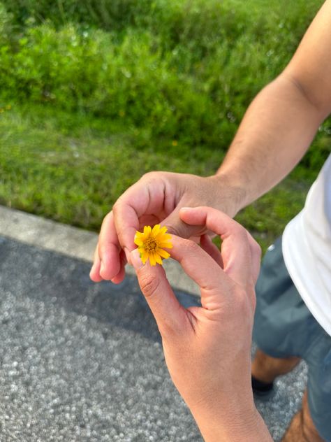 One of my favorite things about you is that you always pick flowers for me Wild Flowers From Boyfriend, Hand Picked Flowers From Boyfriend, Hand Picked Flowers Boyfriend, Getting Flowers From Him Aesthetic, Guy Picking Flowers, Guy Holding Flowers Aesthetic, Flower Picking Date, Guy Giving Girl Flowers, Flowers With Note