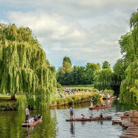 Students are punting on the River Cam, Cambridge, England-Stock Photo Cambridge Punting Aesthetic, Punting Cambridge, England Images, Cambridge Punting, Academic Inspiration, Cambridge Student, Lily King, Downtown Aesthetic, 2024 Travel