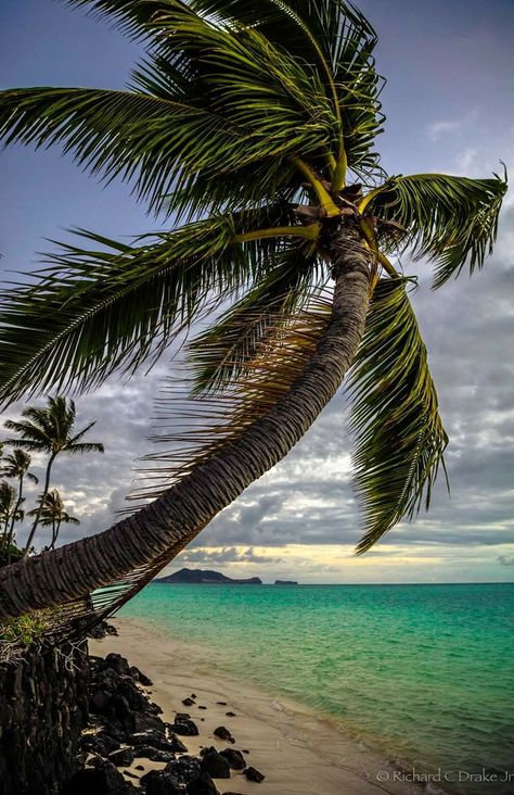 Kailua Beach, The Caribbean Islands, Gorgeous Places, Big Waves, Hawaiian Islands, Caribbean Islands, Lifestyle Inspiration, Big Island, Central America