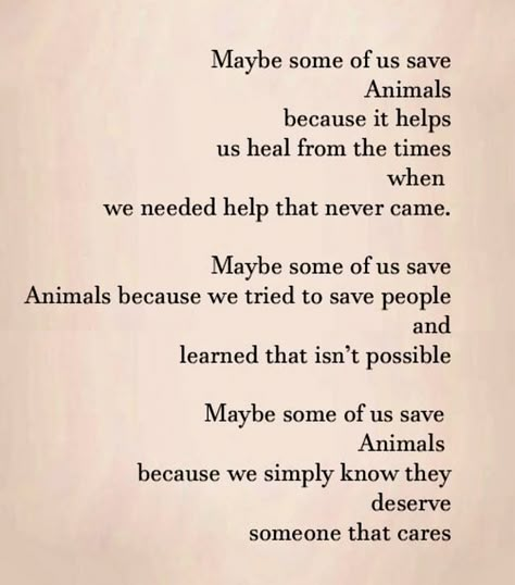 Volunteering Aesthetic, Animal Shelter Worker, Dog Foster, Animal Rescue Quotes, Rescue Dog Quotes, Vet School Motivation, Rescue Quotes, Animal Lover Quotes, Veterinary Nursing