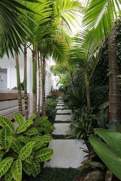 35 Beautiful Side Yard Ideas To Make Your Garden Complete | Decor Home Ideas Cornwall Landscape, Tropical Yard, Resort House, Mom Inspo, Balinese Garden, Tropical Landscape Design, Side Yard Landscaping, Tropical Garden Design, Tropical Backyard