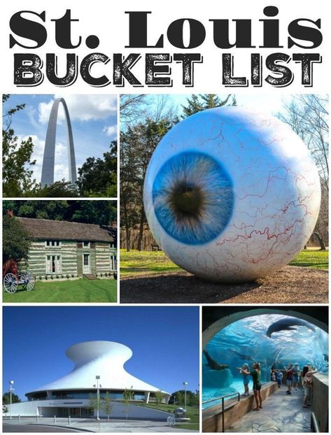 st louis bucket list #MyBucketListIdeas Free Activities For Kids, Into The West, Midwest Travel, All I Ever Wanted, On The Road Again, St Louis Missouri, Free Activities, St Louis Mo, Free Things To Do