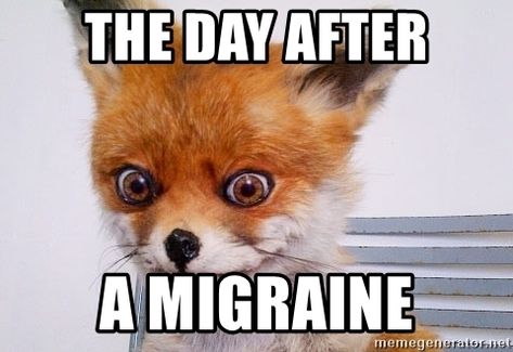 20 Witty Migraine Memes To Make You Feel A Lot Better | SayingImages.com Migraine Meme, Migraine Quotes, Migraine Humor, Fox Memes, Stone Fox, Drum Corps, 10 Funniest, Migraine Headaches, Migraine