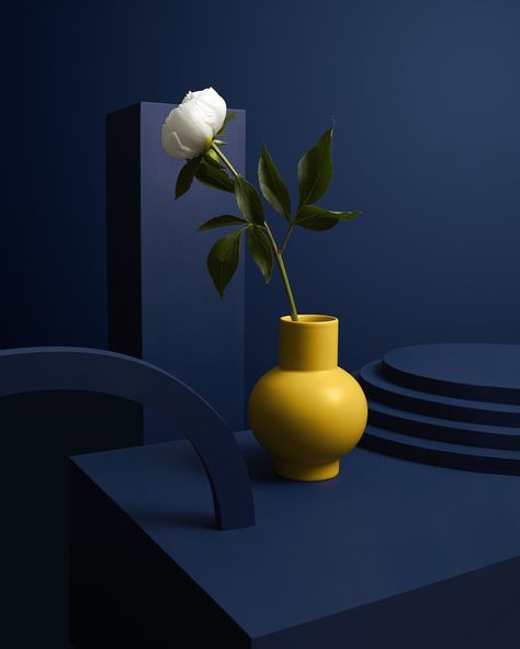 Dark Palette, Colourful Images, Modern Flower Vase, Vase Ideas, Yellow Vase, Creative Review, Study Photography, Product Photographer, Still Life Photographers