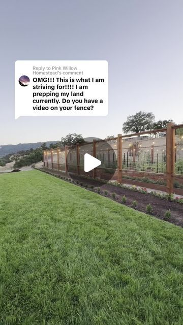 Melonie on Instagram: "ok a quick tour of the garden fence perimeter #growyourownfood #homegarden #minifarm #gardenupdate #vegetablegarden #nightgarden #gardenlights #gardening #gardenideas #gardendesign" High Fenced Garden, Keyhole Gardening, If I Won The Lottery, Garden Enclosure, I Won The Lottery, Won The Lottery, Garden Boxes Raised, Garden Walls, Vegetable Garden Raised Beds