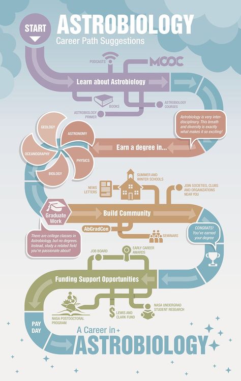 NASA Astrobiology Career Path Graphic on Behance Career Paths Ideas, Astronomy Career, Astrobiology Aesthetic, Careers In Astronomy, Road Infographic, Path Illustration, Science Careers, Information About Space, School Of Philosophy