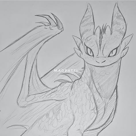 Dragon Sketches, Dragon Drawings, Night Fury Dragon, Dragon Sketch, Night Fury, Creature Drawings, Train Your Dragon, Fantasy Creatures Art, Dragon Artwork