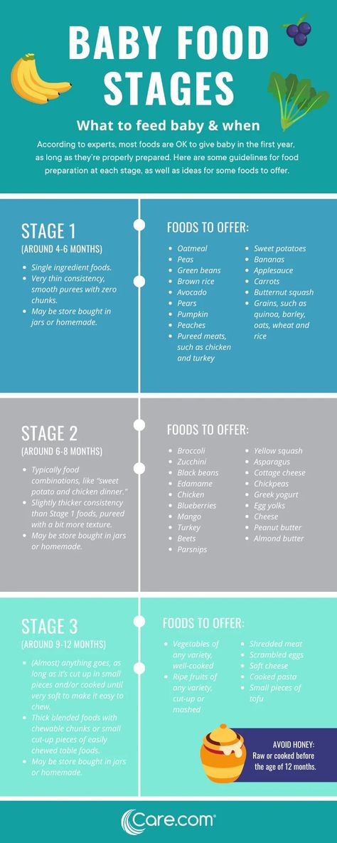 Baby Food Stages: A Guide to The 3 Major Food Stages Stages Of Baby Food, Baby Food Stages Chart, How To Start Baby Food, How To Make Homemade Baby Food Stage 1, Baby Food Starter Guide, Stage 1 Puree Baby Foods List, Make Your Own Baby Food Stage 1, Babies First Foods Chart, 1st Foods For Baby