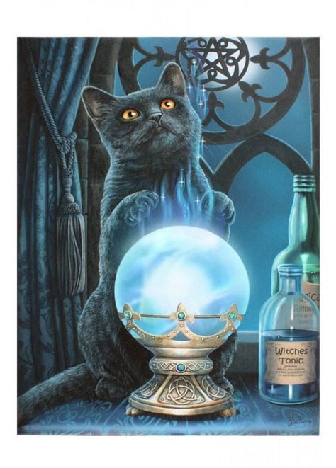 Lisa Parker, Wizard Cat, Anne Stokes, Needlework Crafts, Black Cat Art, Cat Artwork, The Witches, Witch Art, Cat Posters