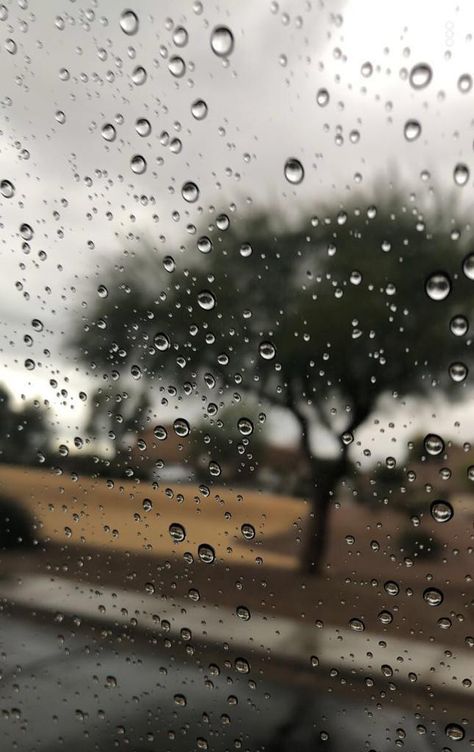 Cloudy Weather, Heavy Rain, Rain Photography, Rainy Days, How To Dry Basil, Blur, Celestial Bodies, Photographer, Photography