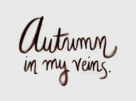 Fall October Country, Favourite Season, Fabulous Fall, Happy Fall Y'all, Seasons Of The Year, Happy Fall, Hello Autumn, Autumn Day, I Fall