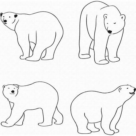 Polar Bear Outline, Polar Bear Drawing, Bear Svg, Bear Drawing, Silhouette Photos, Arctic Animals, Diy Crafts To Do, Christmas Drawing, Animal Sketches