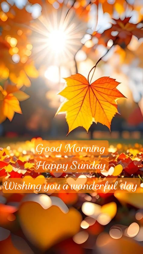 Happy Sunday Fall Images, Thankful Sunday Blessings, Fall Sunday Morning Quotes, Sunday Morning Wishes Happy, Sunday Blessings Mornings, Good Morning Sunday Gif, Happy Sunday Images Beautiful, Happy Weekend Messages, Sunday Blessings Inspiration