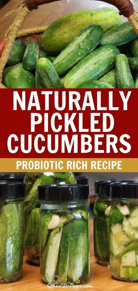 Ferment Cucumbers, Fermented Pickles Recipe, Fermented Dill Pickles, Lacto Fermented Pickles, Fermented Vegetables Recipes, Canned Pickles, Preserving Vegetables, Lacto Fermented, Sour Pickles