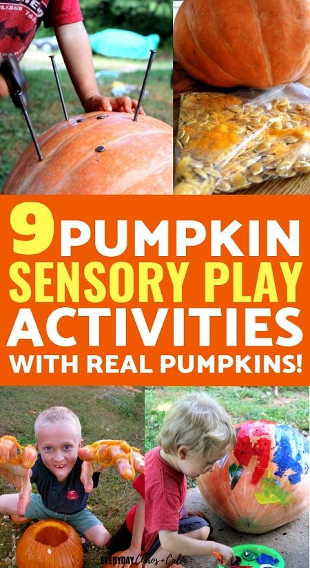 Pumpkin Sensory Activities, Pumpkin Sensory, Pumpkin Preschool, Busy Bins, Autumn Themed Activities, Real Pumpkins, Activities For One Year Olds, Harvest Theme, Nanny Life