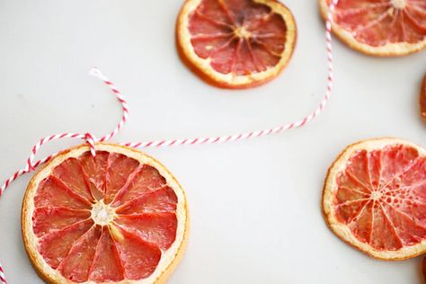 easy diy citrus garland Dried Citrus Garland, Citrus Garland, Dried Citrus, Natural Ornaments, Pine Garland, Dried Oranges, Diy Advent Calendar, Eco Friendly Decor, Fall Gifts