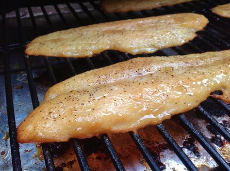 Traeger Smoked Honey Swai or Tilapia Recipe Smoked Tilapia, Smoked Fish Recipe, Smoked Honey, Traeger Cooking, Swai Fish, Traeger Grill Recipes, Grilled Tilapia, Tilapia Recipe, Pellet Grill Recipes