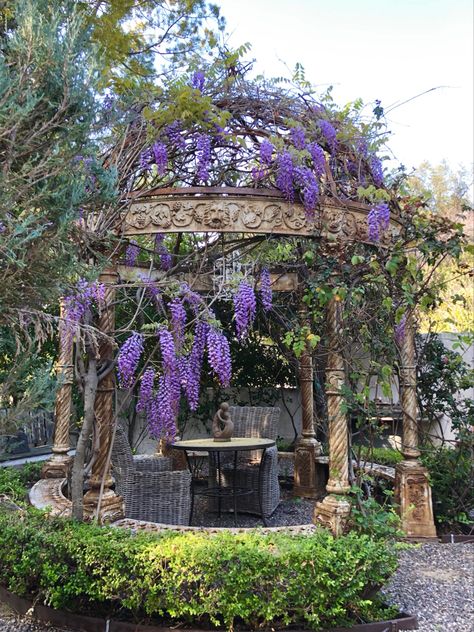 Wisteria Gazebo, Vibe Place, White Gazebo, Garden Gazebo, Wisteria, Future House, Old World, Bts Army, Gazebo