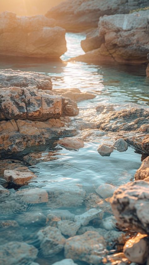 Sunlit Rocky Shore: A tranquil rocky shore kissed by the golden sunrise, with clear water reflecting the serene sky. #sunrise #rocks #water #tranquil #shore #nature #reflection #golden #aiart #aiphoto #stockcake https://ayr.app/l/UDA5 Rocky Ocean Shore, Nature Reflection, Reflection Pictures, Black Bird Tattoo, Golden Sunrise, Sky Sunrise, Ocean Shores, Rocky Shore, Bird Tattoo