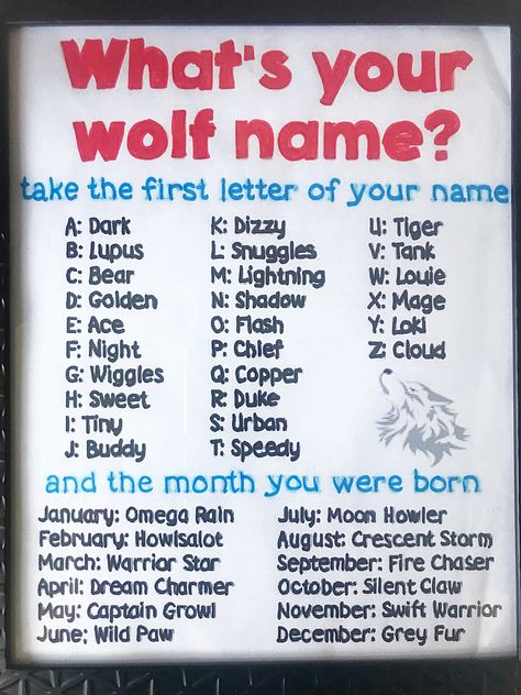 What’s your wolf name? The kids had fun finding out their names! Whats Your Wolf Name, Wolf Birthday Party Decorations, Wolf Themed Birthday Party Food Ideas, Therian Birthday Party, Wolf Party Decorations, Wolf Party Ideas For Kids, Your Wolf Name, Wolf Birthday Party Ideas, Wolf Party Ideas