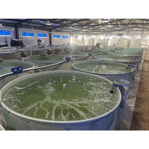 Ras System, Farm Equipment Storage, Aquaculture Fish, Shrimp Farming, Farm Wagons, Commercial Farming, Farming Ideas, Environmental Technology, Fish Ideas