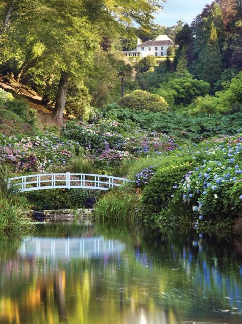 Trebah Gardens - #Cornwall #PetFriendly Trebah Garden, Maine Gardens, Bressingham Gardens, Beach England, Cornwall Garden, Wedding Interior, Sequoia National Park Camping, Camping France, Lost Gardens Of Heligan