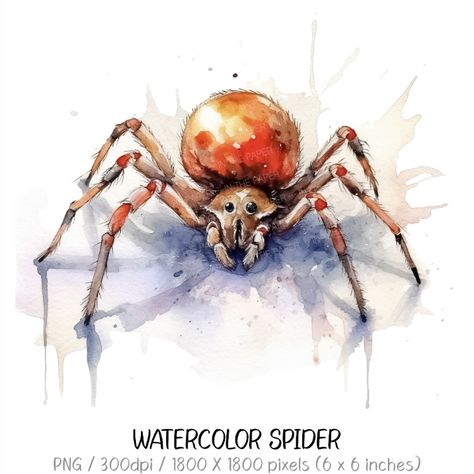 Spider Watercolor Painting, Spider Watercolor, Watercolor Spider Web, Spiderweb Watercolor, Jumping Spider Cute Art, Spider Clip Art, Spider Png, Watercolor Bugs Illustrations, Fantasy Png