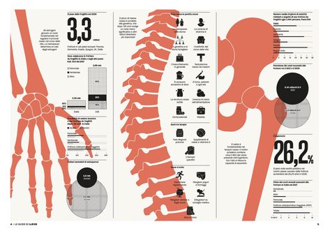 Anatomy Infographic, Aesthetic Science, Zine Layout, Medical Diagrams, Medical Infographic, Medical Poster, Medical Posters, Medical Illustrations, Future Job