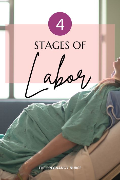 Chart for the phases of labor and delivery. Early labor, and delivery will be a very steady path. On your first baby it does usually take longer for pregnancy dilatation. Shorter on your second Labor Phases, Pregnant Anatomy, Anterior Placenta, Birth Photography Hospital, Phases Of Labor, Early Labor, Delivery Nurse Gifts, Birth Plan Template, Active Labor