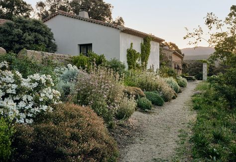 A Spanish garden in perfect harmony with its surroundings Spanish Garden, European Garden, Garden Calendar, British Garden, Gravel Garden, English Country Gardens, Evergreen Plants, Mediterranean Garden, Green Lawn