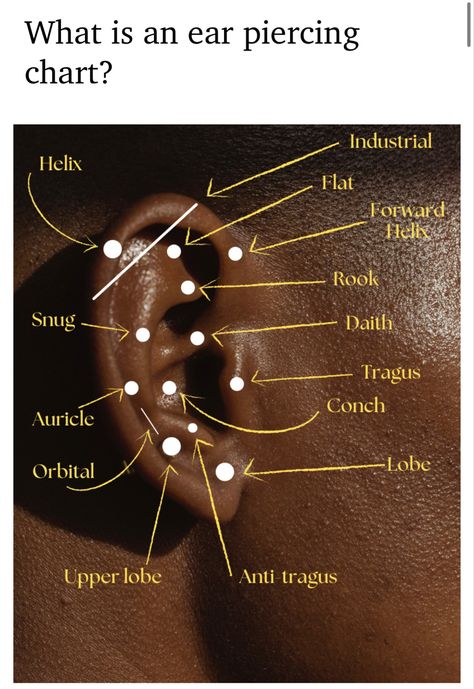 Stacked Lobe, Ear Piercings Chart, Piercing Chart, Anti Tragus, Pretty Ear Piercings, Tragus Conch, Forward Helix, Body Mods, Tragus