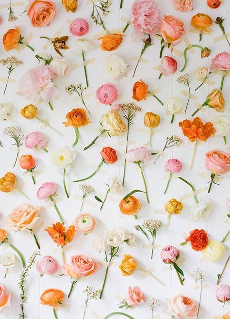 Popular pins from Pinterest | Wedding Inspiration | 100 Layer Cake Booth Backdrops, Wall Flowers, Photo Booth Backdrop, Ceremony Backdrop, Deco Floral, Arte Floral, Beautiful Blooms, Flower Child, Design Floral