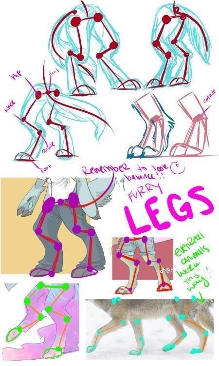 Leg Tutorial, Fursuit Tutorial, Some Drawings, Concept Art Drawing, Anatomy Drawing, Guided Drawing, Dog Drawing, Drawing Tutorials, Art Tutorials Drawing