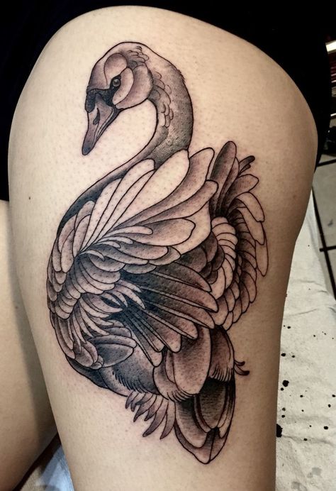 Swan tattoo Black Swan Tattoo, Tattoo Fixes, Swan Tattoo, Duck Tattoos, Vogel Tattoo, Wing Tattoo, Wings Tattoo, Birds Tattoo, Skin Art