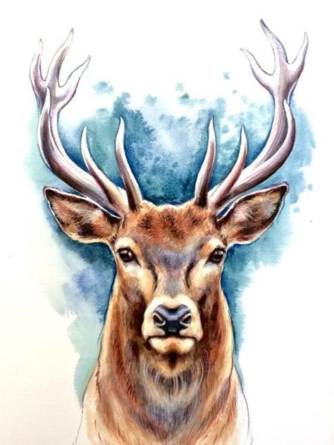 Deer Drawing, Sika Deer, Deer Photos, Deer Painting, Butterfly Tattoos, Deer Art, Soyut Sanat Tabloları, Architectural Drawing, 수채화 그림