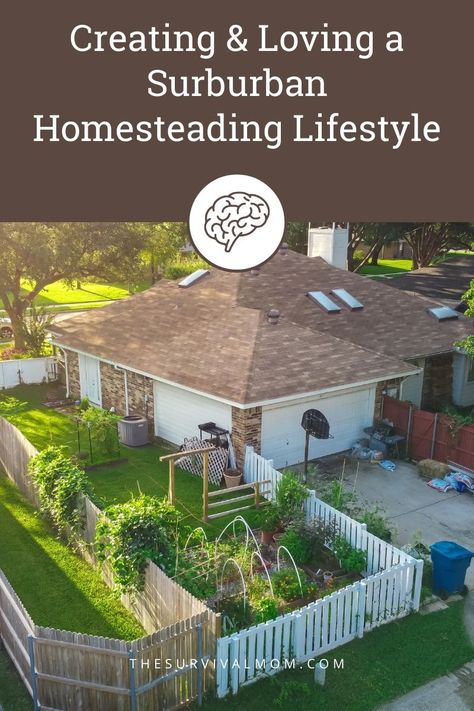 Self Sufficient Backyard, Suburban Homesteading, Suburban Homestead, Gardening Vertical, Vertical Garden Ideas, Cactus Gardens, Going Off The Grid, Homesteading Diy, Babymoon Photos