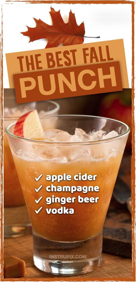 So dang good, It will disappear before your eyes! For parties or large gatherings, I find punch bowl recipes to be super easy and crowd pleasing, and this one is my favorite for Halloween or Thanksgiving. For adults only! It's made with simple ingredients including apple cider, champagne, ginger beer and vodka. This mixture is amazing! Great for family gatherings or anytime during the holidays. Everyone will be begging you for this easy alcohol punch recipe for fall. Healthy Fall Drinks Alcohol, Dispenser Alcohol Drinks, Fall Alcoholic Drinks Pitcher, Cold Fall Alcoholic Drinks, Alcoholic Party Ideas, Light Hourdourves, Apple Cider Big Batch Cocktails, Fall Mixed Drinks For A Crowd, Fall Adult Drinks Alcohol