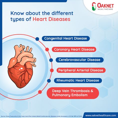 Body Logo Design, Types Of Heart, Heart Structure, Heart Valve, Bio Data For Marriage, Heart Hospital, Heart Valves, Heart Care, Congenital Heart