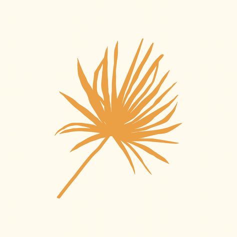 Palm Tree Illustration Design, Palm Leaves Illustration, Palm Leaf Illustration, Palm Leaf Logo, Bismarck Palm, Photobook Cover, Chinese Fan Palm, Leaf Sticker, Palm Tree Island