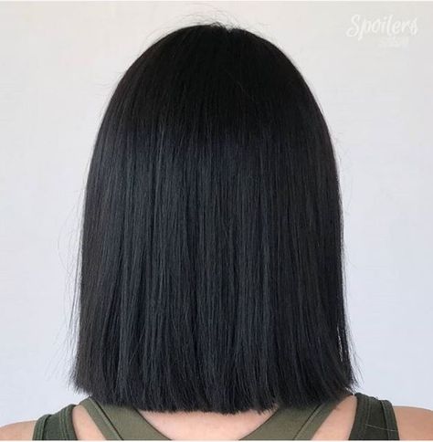 Very Long Bob, Fall Brunette, Modern Bob Hairstyles, Medium Bob Hairstyles, Brunette Color, Highlights Hair, Long Bob Hairstyles, Hair Medium, Trending Hairstyles