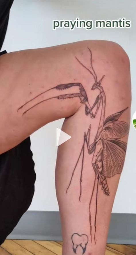 Bug Forearm Tattoo, Praying Mantis Leg Tattoo, Insect Leg Tattoo, Orchid Praying Mantis Tattoo, Bug Leg Tattoo, Redwall Tattoos, Knee Bug Tattoo, Flower Mantis Tattoo, Pray Mantis Tattoo