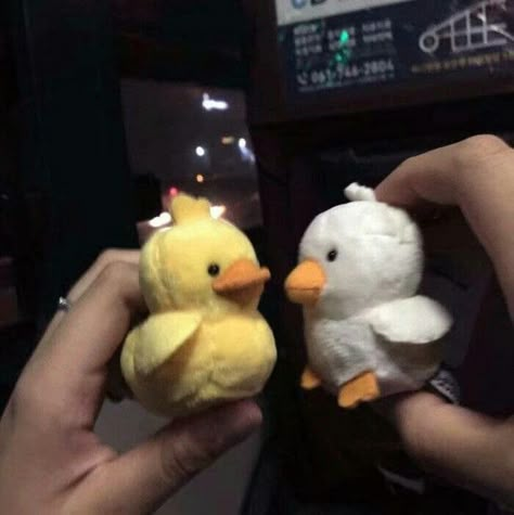 Matching Stuffed Animals For Best Friends, Cute Matching Plushies, Matching Plushie Pfp, Duck Plushie Aesthetic, Matching Plushies For Couples, Couple Stuffed Animals, Matching Stuffed Animals, Matching Plushies, Spotify Widgets