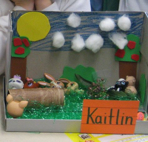 Habitat Dioramas Habitat Kindergarten, Bunny Habitat, 1000 Books Before Kindergarten, Diorama Project, Habitats Projects, Rabbit Habitat, Forest Habitat, Preschool Projects, New Language