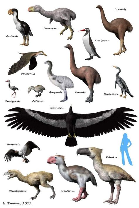 Brazil Animals, Tiny Baby Animals, Animal Types, Greyhound Statues, Animal Infographic, Pig Breeds, Prehistoric Wildlife, Speculative Evolution, Wildlife Pictures