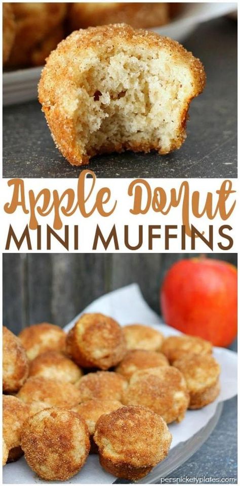 Apple Donut Mini Muffins - Bite sized mini muffins that taste just like cider mill cinnamon-sugar donuts! | www.persnicketyplates.com Mini Apple Muffins, Apple Donut, Persnickety Plates, Mini Muffin Recipe, Cider Mill, Apple Donuts, Donut Muffins, Apple Cinnamon Muffins, Simple Muffin Recipe