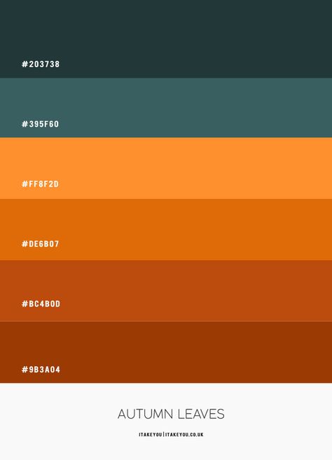 Fall Color Combo | Green Teal and Shades of brown leaf Color Combo Cozy Bed Aesthetic, Bed Aesthetic, Bed Design Ideas, Brown Autumn, Hex Color, Color Design Inspiration, Hex Color Palette, Color Schemes Colour Palettes, Brown Color Palette